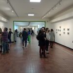 MUESTRA 88 (11)